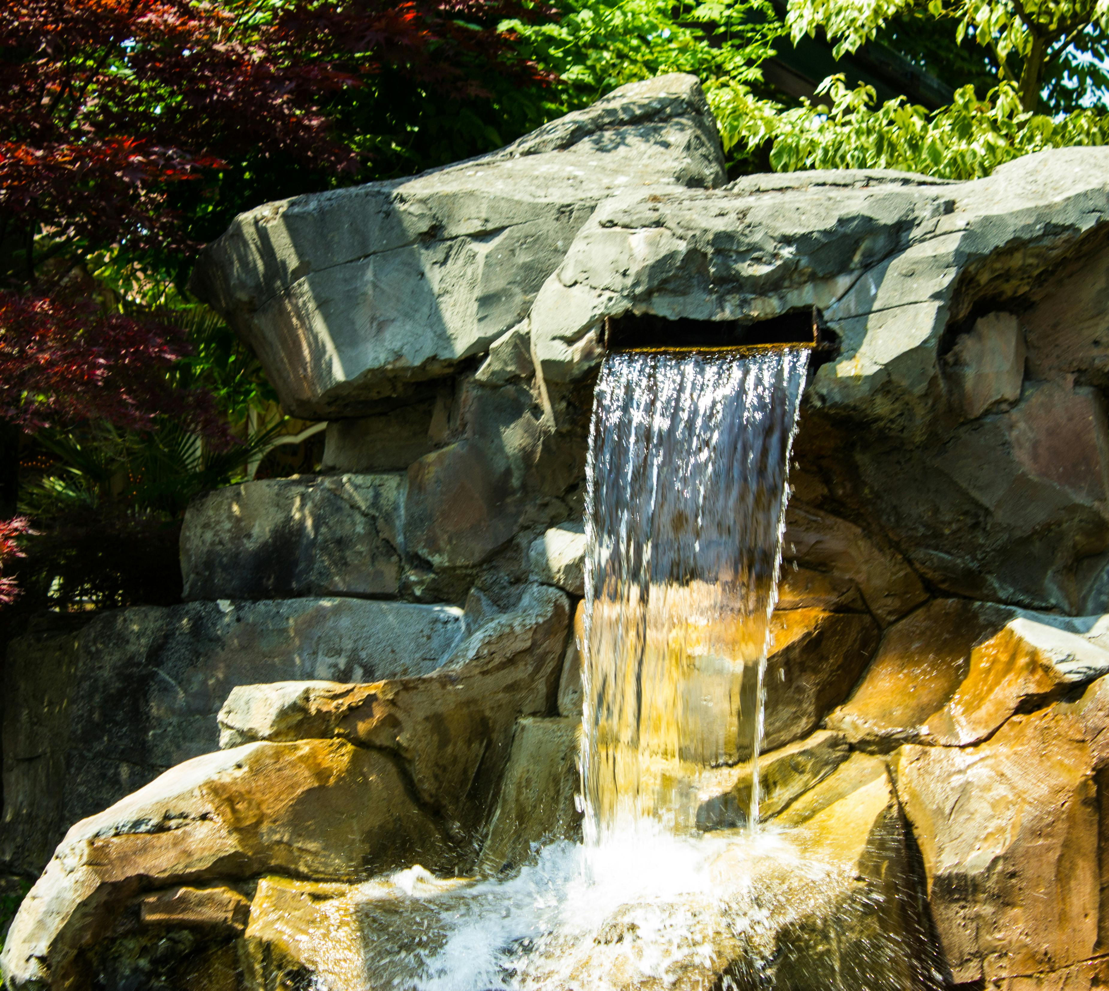 Tailgating at a Kansas City Royals Game
