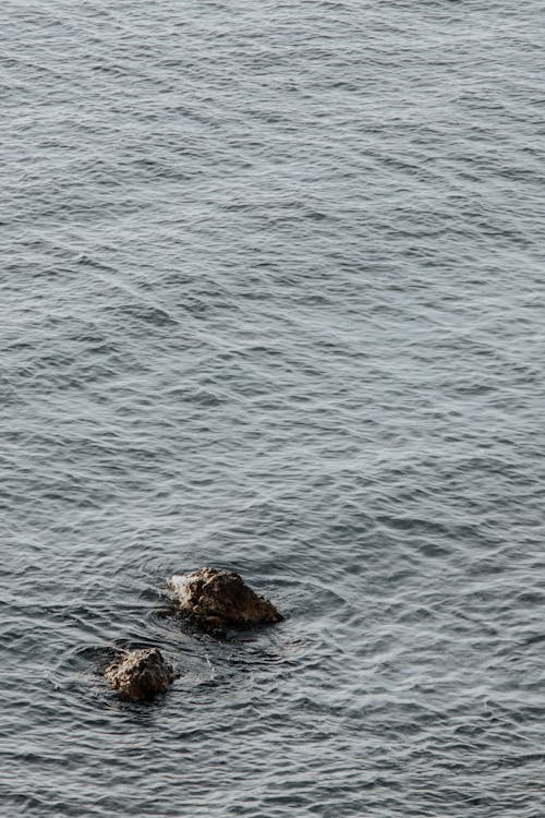 Ingyenes stockfotó fodrozódás, függőleges lövés, óceán témában