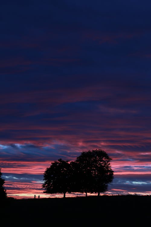 Silhouettes of trees and distant people against colorful cloudy night sky at sundown time