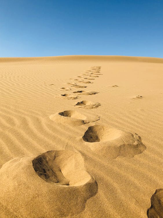 Ilmainen kuvapankkikuva tunnisteilla aavikko, autiomaa, hiekka