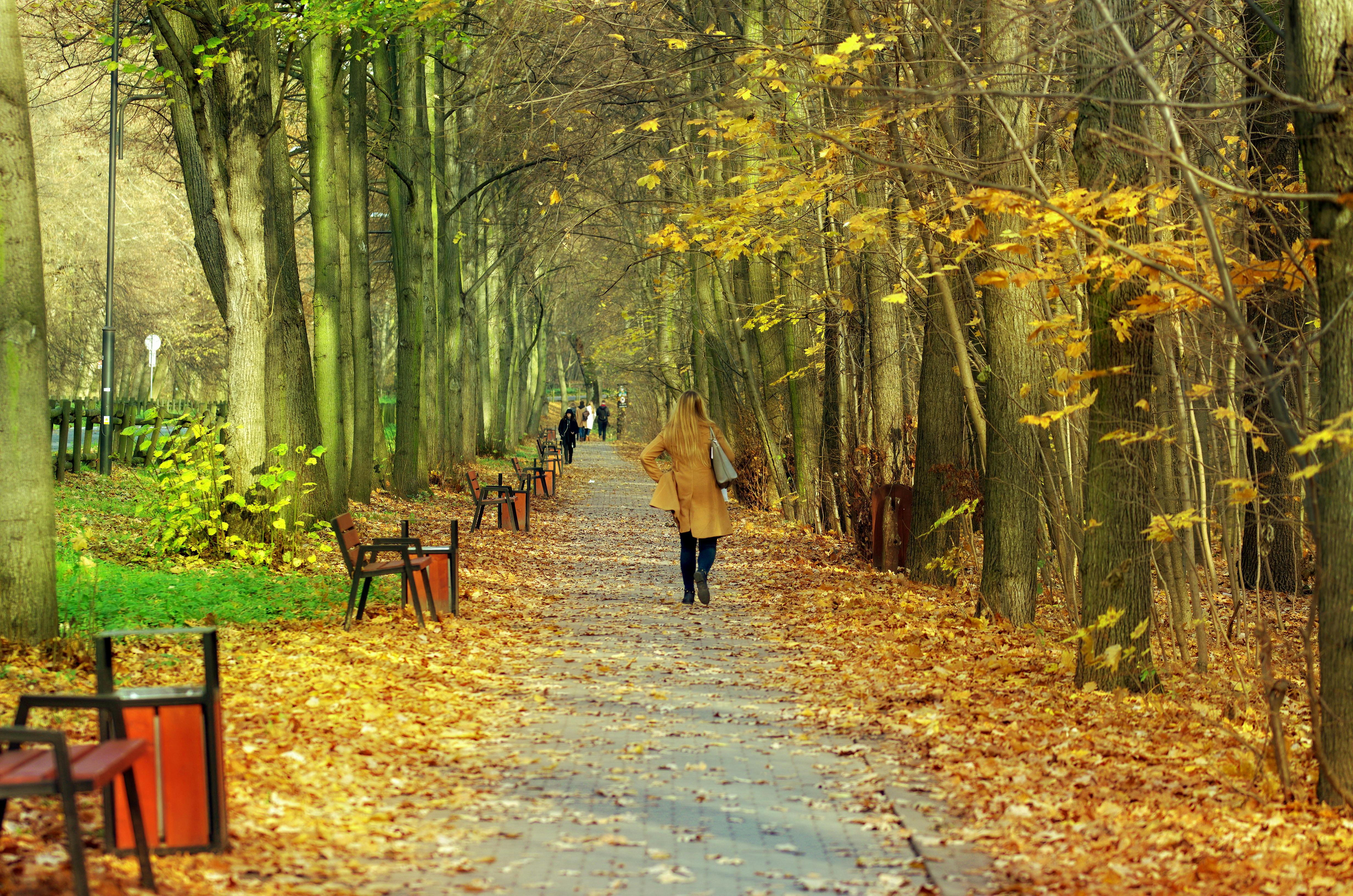 Container train and cargo ship