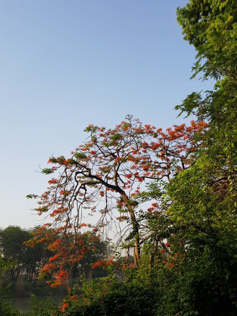 Spațiu Flexibil Iași