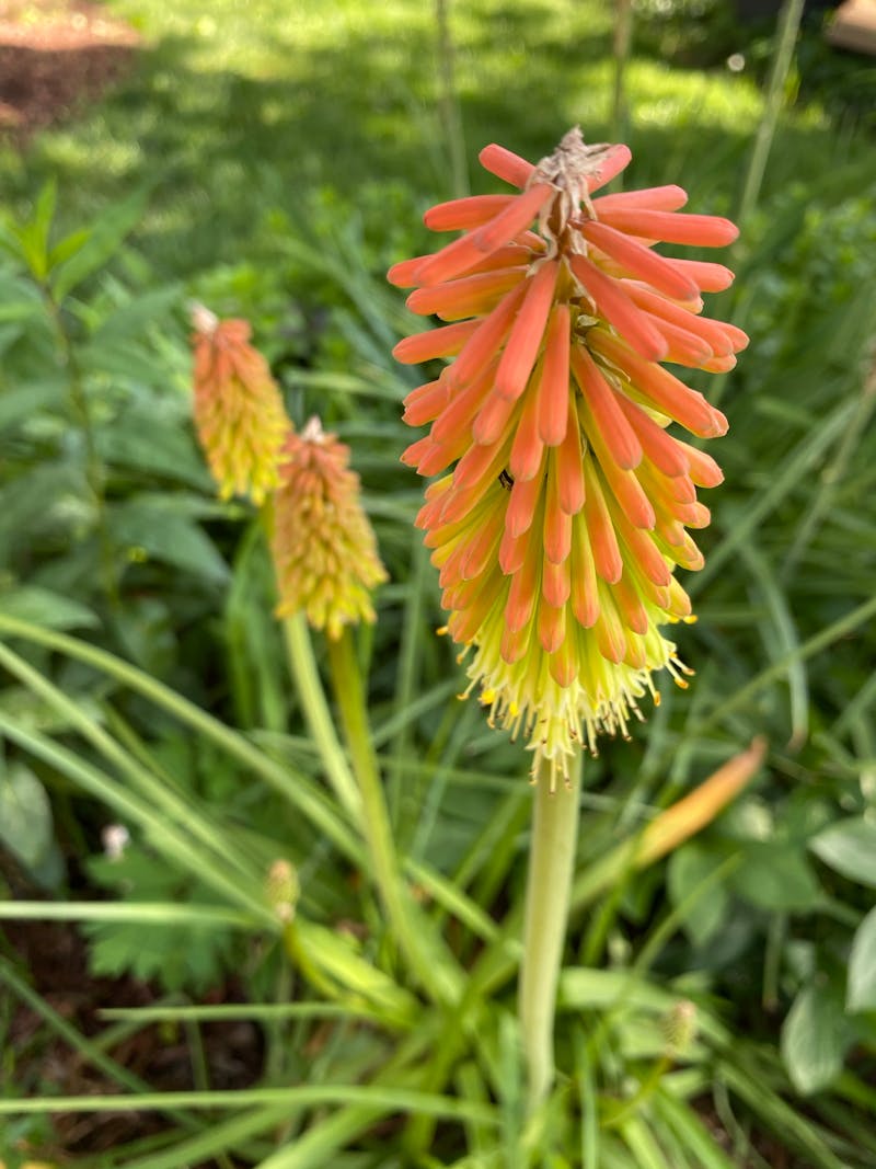 Terminal Logistic Craiova