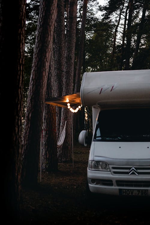 Free Campervan in a Forest Stock Photo