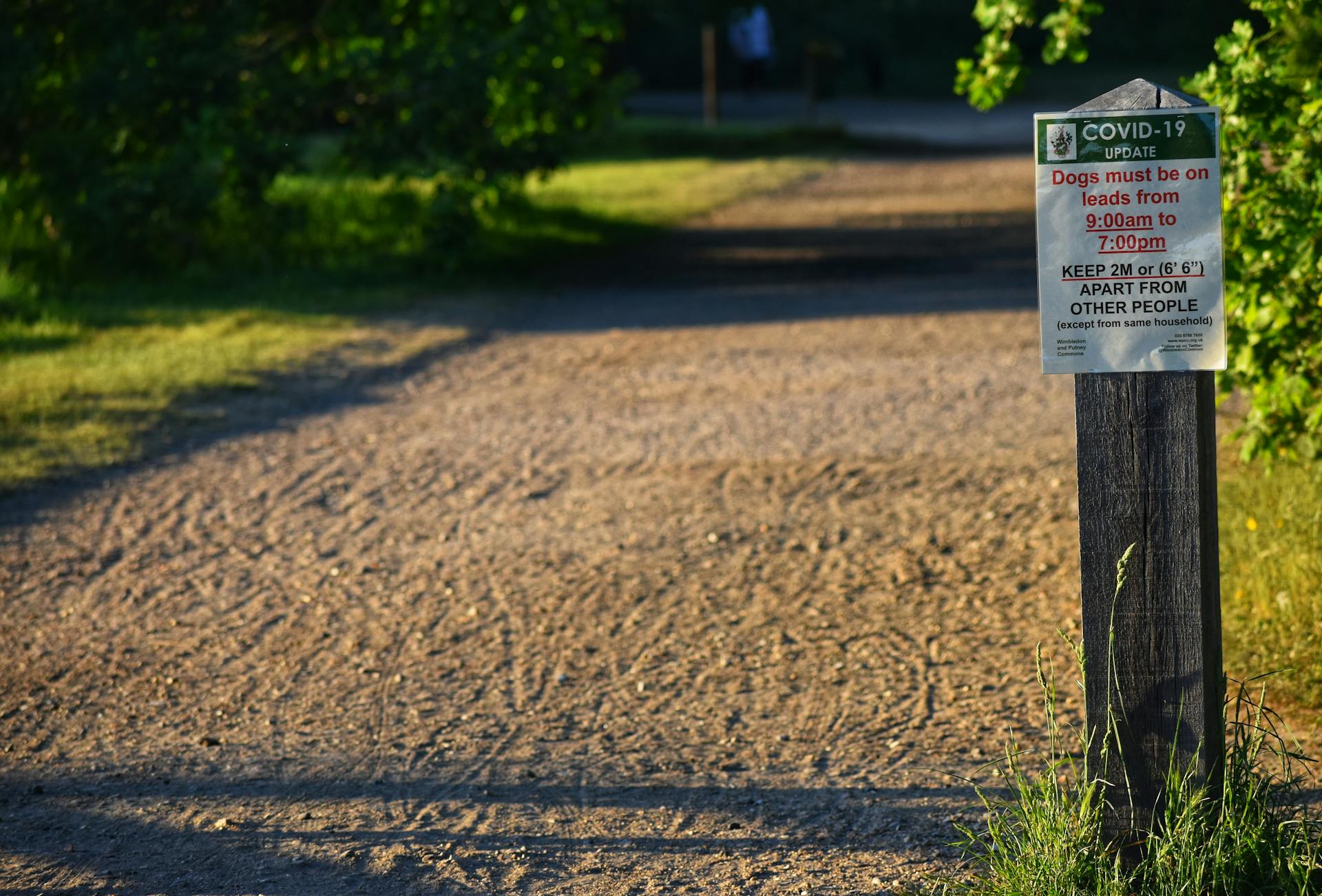 Warning for dogs owners during coronavirus pandemic in park