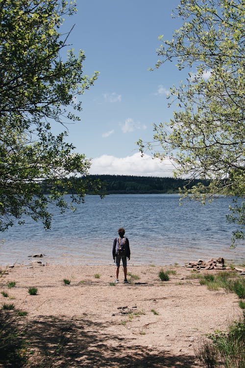 Gratis stockfoto met achteraanzicht, afzondering, buiten