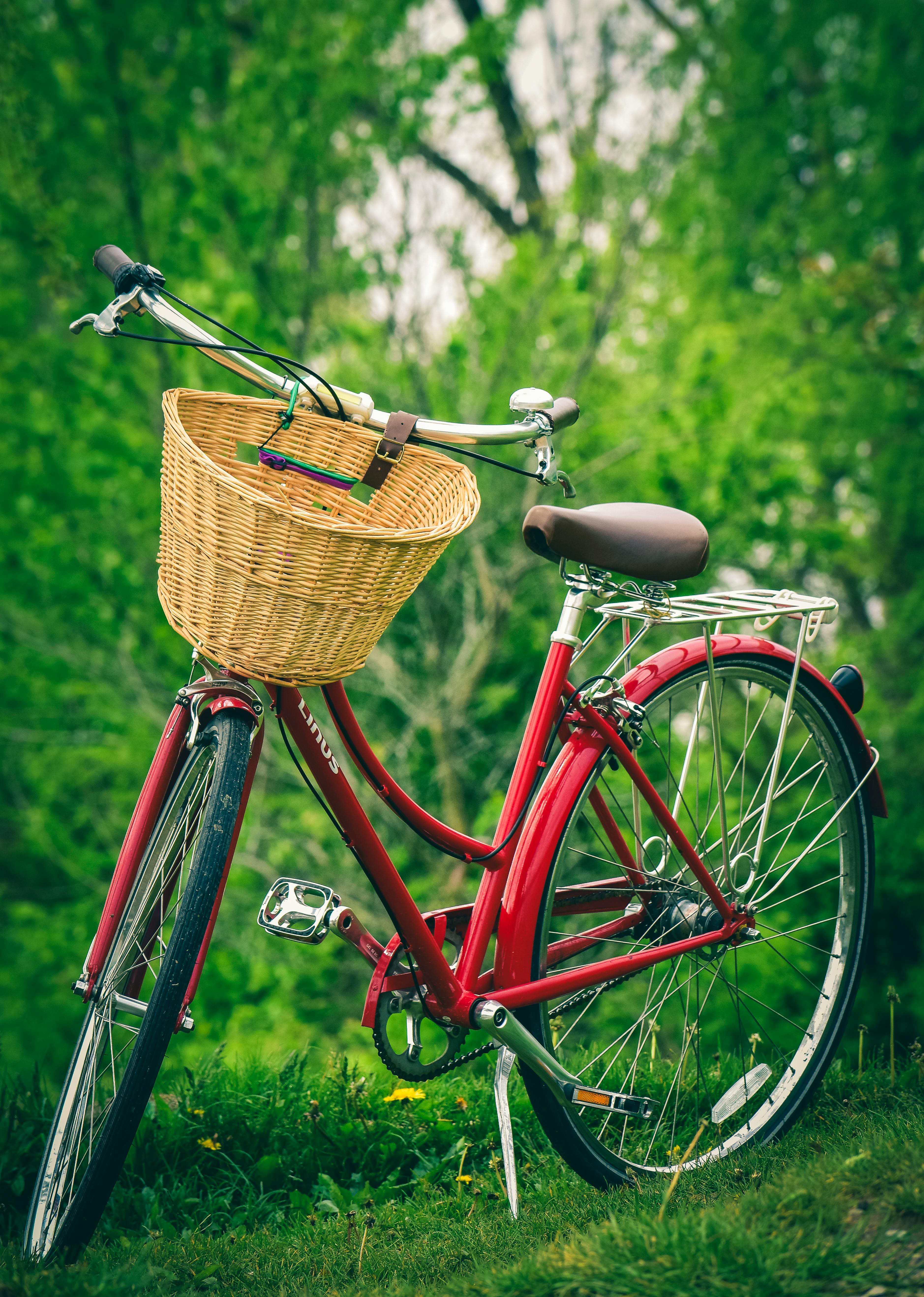 schwinn blue cruiser bike