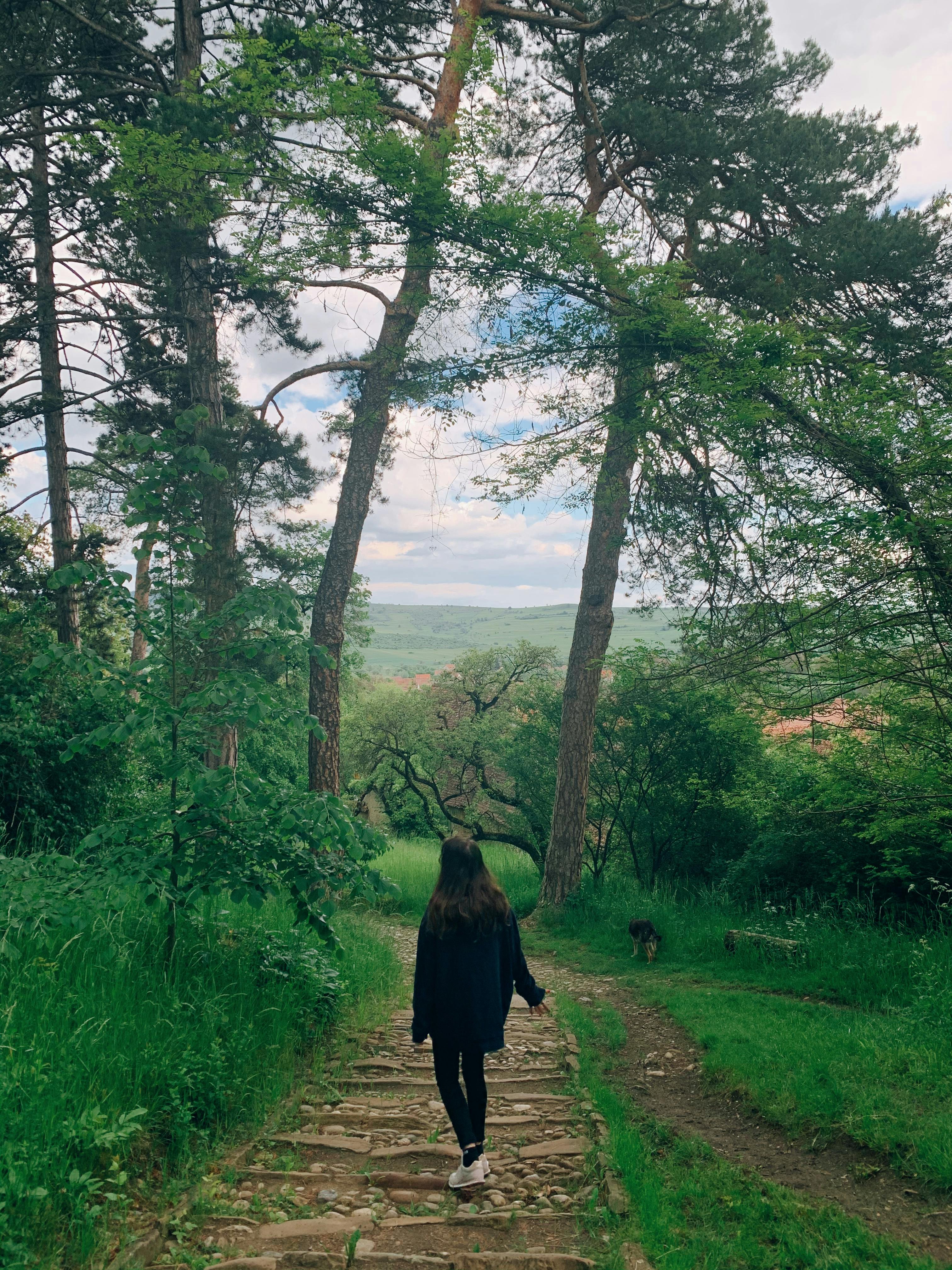 A lone woman enjoys a stroll on a scenic forest path in Viscri, Romania.