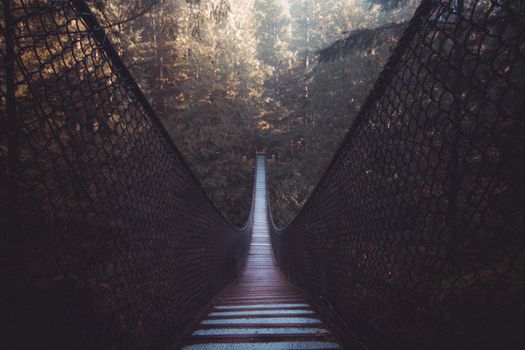 Lynn Canyon suspension bridge in North Vancouver against scenic rainforest landscape on sunny day
