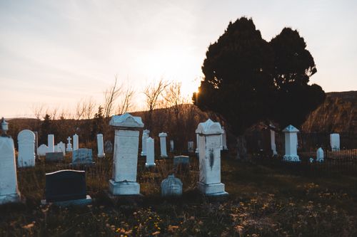 Free Low angle of aged graveyard with ornamental tombstones near trees and mount in autumn in evening Stock Photo