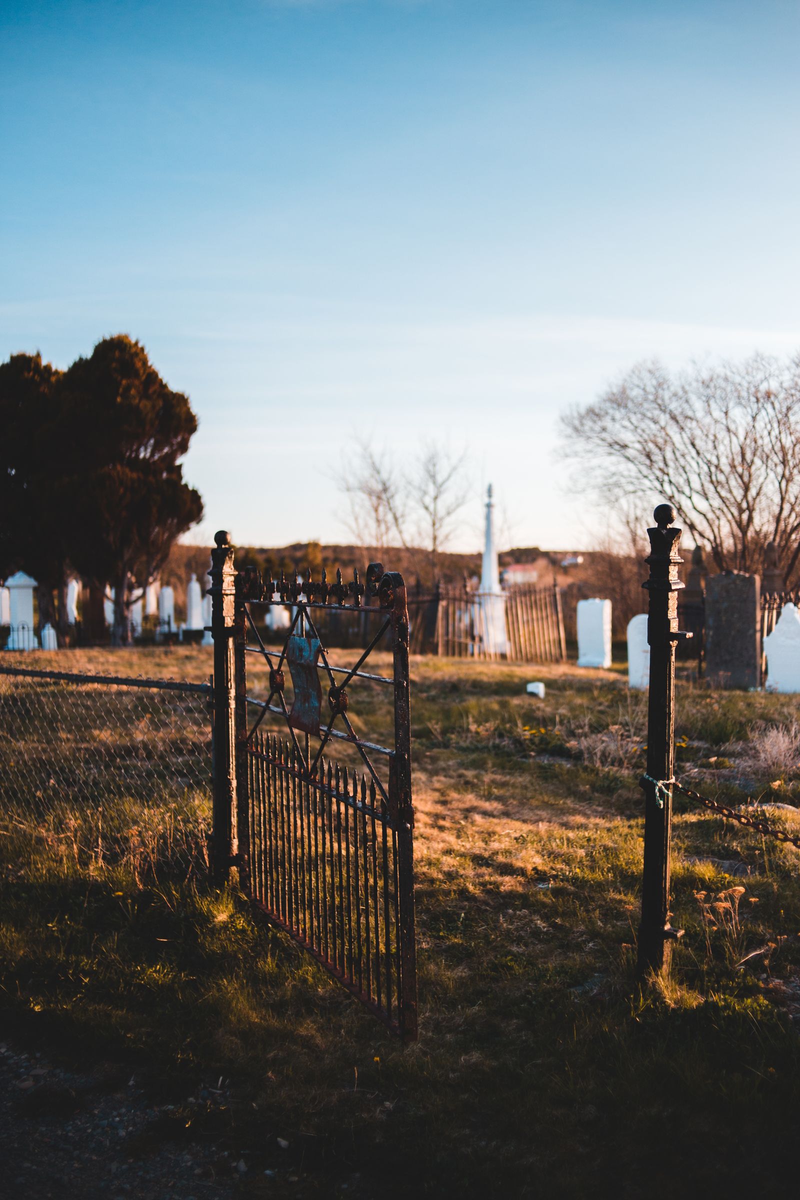 An old wrought-iron cemetery gate at golden hour