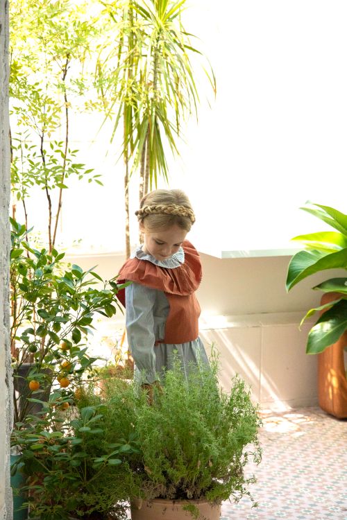 Free Child with braided hair observes plants in a sunlit Seoul balcony. Stock Photo