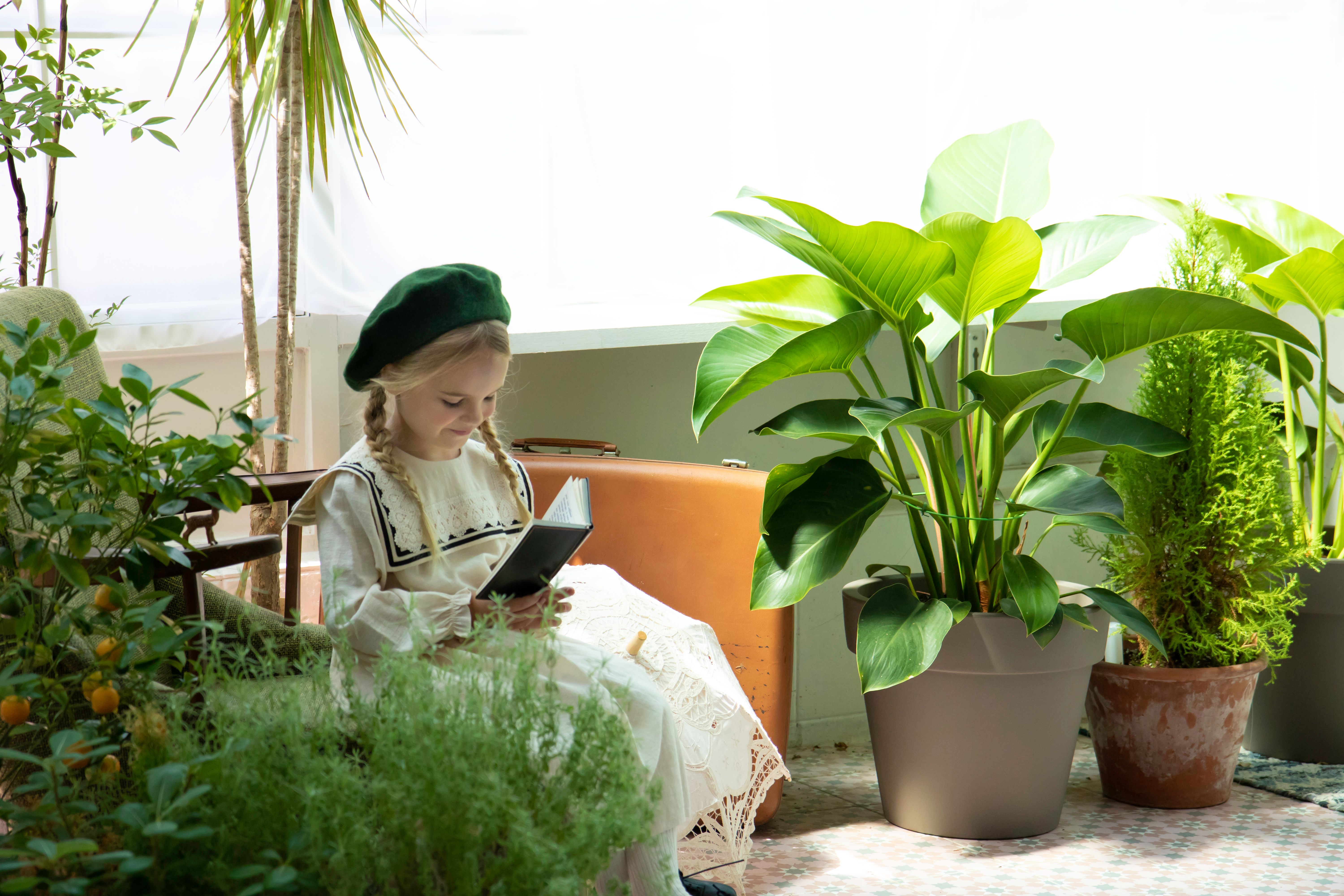 A young girl enjoying a book surrounded by lush indoor plants in a sunny room.