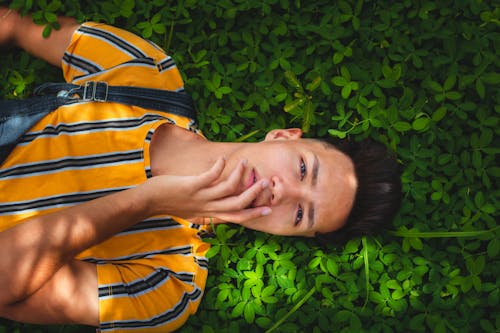 Man Lying on Green Plants