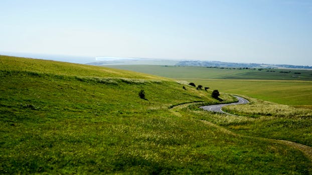 蔚蓝的天空下，绿色的田野和蜿蜒的道路构成了一幅田园诗般的乡村景观