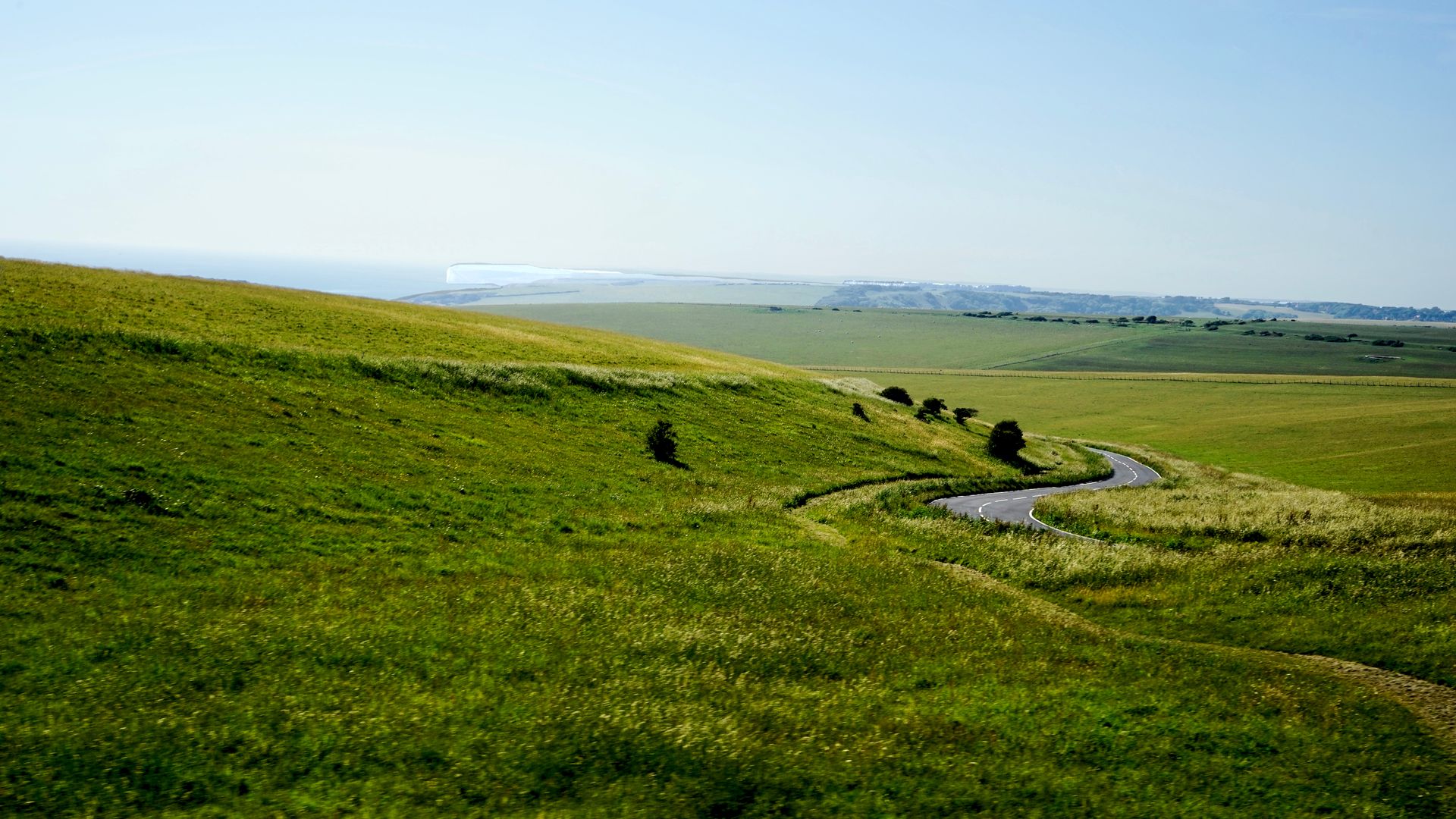 Green Grass Field