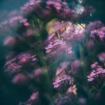 这是一幅紫色花朵的模糊抽象图像，焦点柔和，氛围梦幻