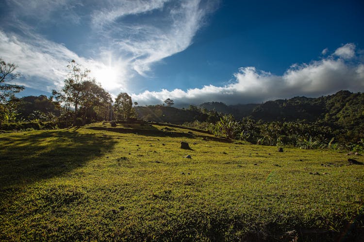 Sunny Fields In Valley