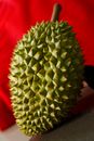 From above of ripe exotic Asian fruit durian with barbed peel and strong odor near red fabric