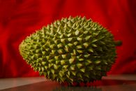 Fresh prickly durian on red background