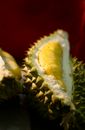 From above of slice or bright ripe exotic fruit with strong smell and prickly peel on brown background