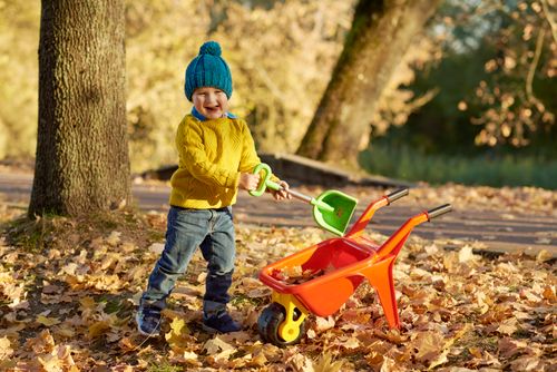 Free Young boy enjoying a sunny autumn day, playing with a toy wheelbarrow and shovel in a park filled with leaves. Stock Photo