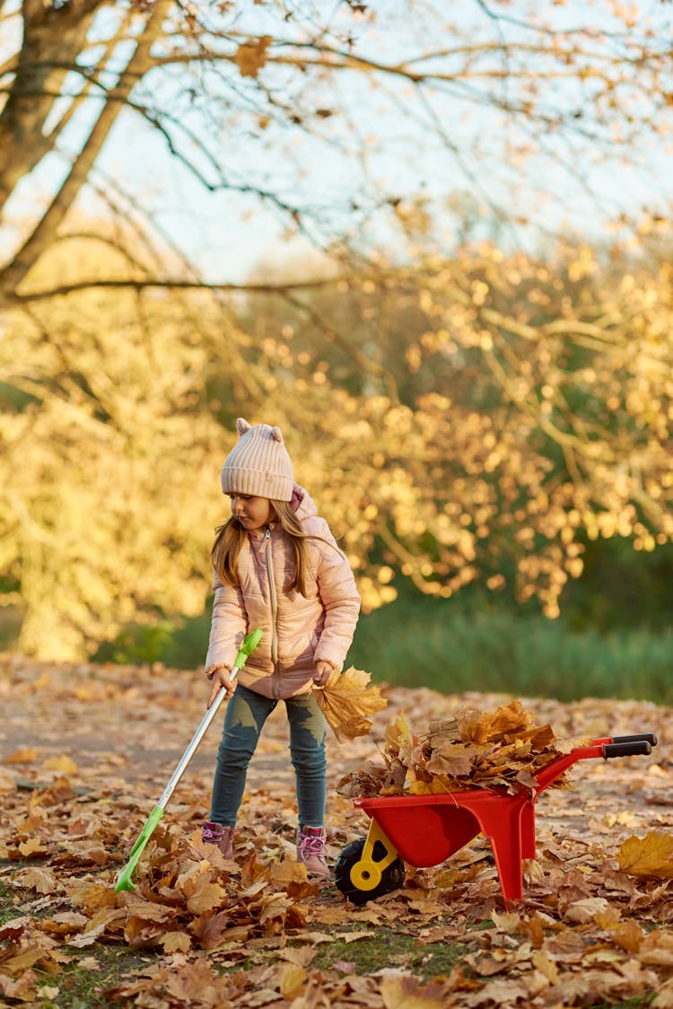 Girl Raking Autumn Leaves With Toy Rakes And Wheelbarrow