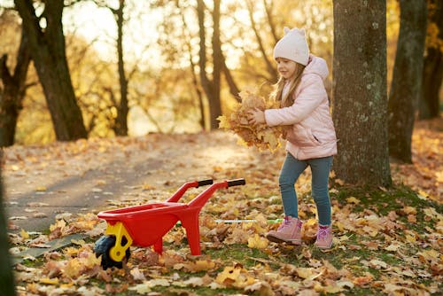 Free A Girl Playing with the Autumn Leaves Stock Photo