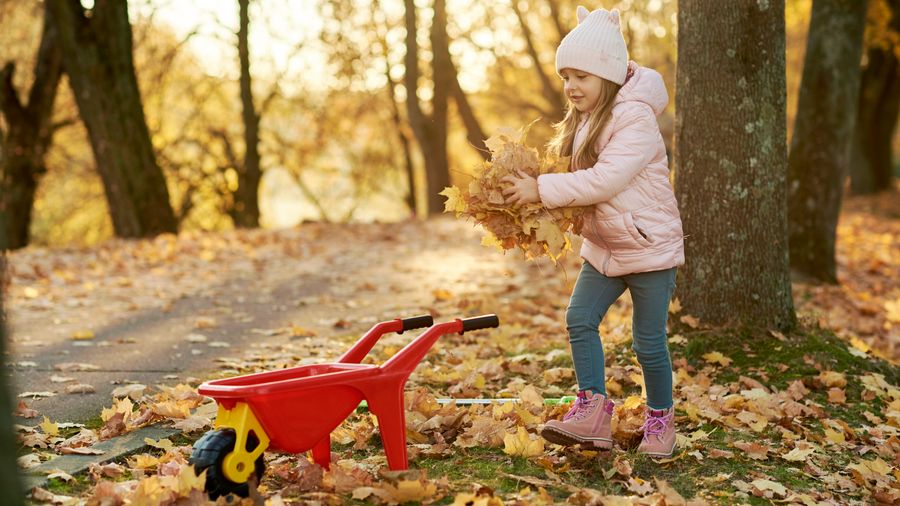 Starting a Coin Collection With Your Kid (Without Killing the Fun)
