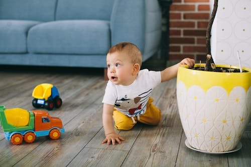 Baby Boy Crawling on the Floor