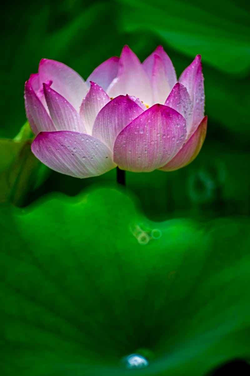 Moderne koelcontainer in een logistiek depot