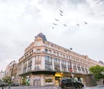 经典的城市建筑下，鸟儿在天空翱翔，尽显完美的城市美学