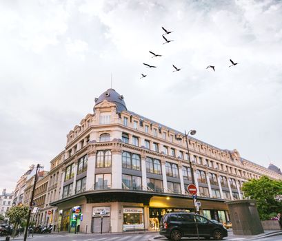 经典的城市建筑下，鸟儿在天空翱翔，尽显完美的城市美学