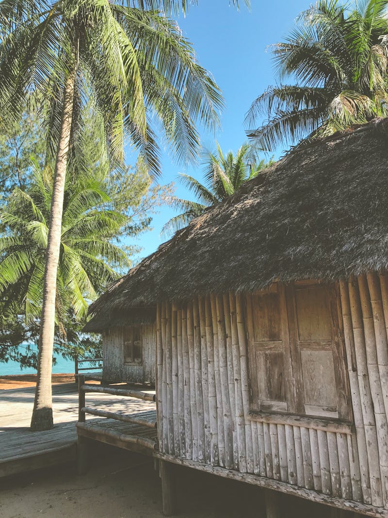 Intérieur lumineux et végétalisé d'un espace de bureau moderne