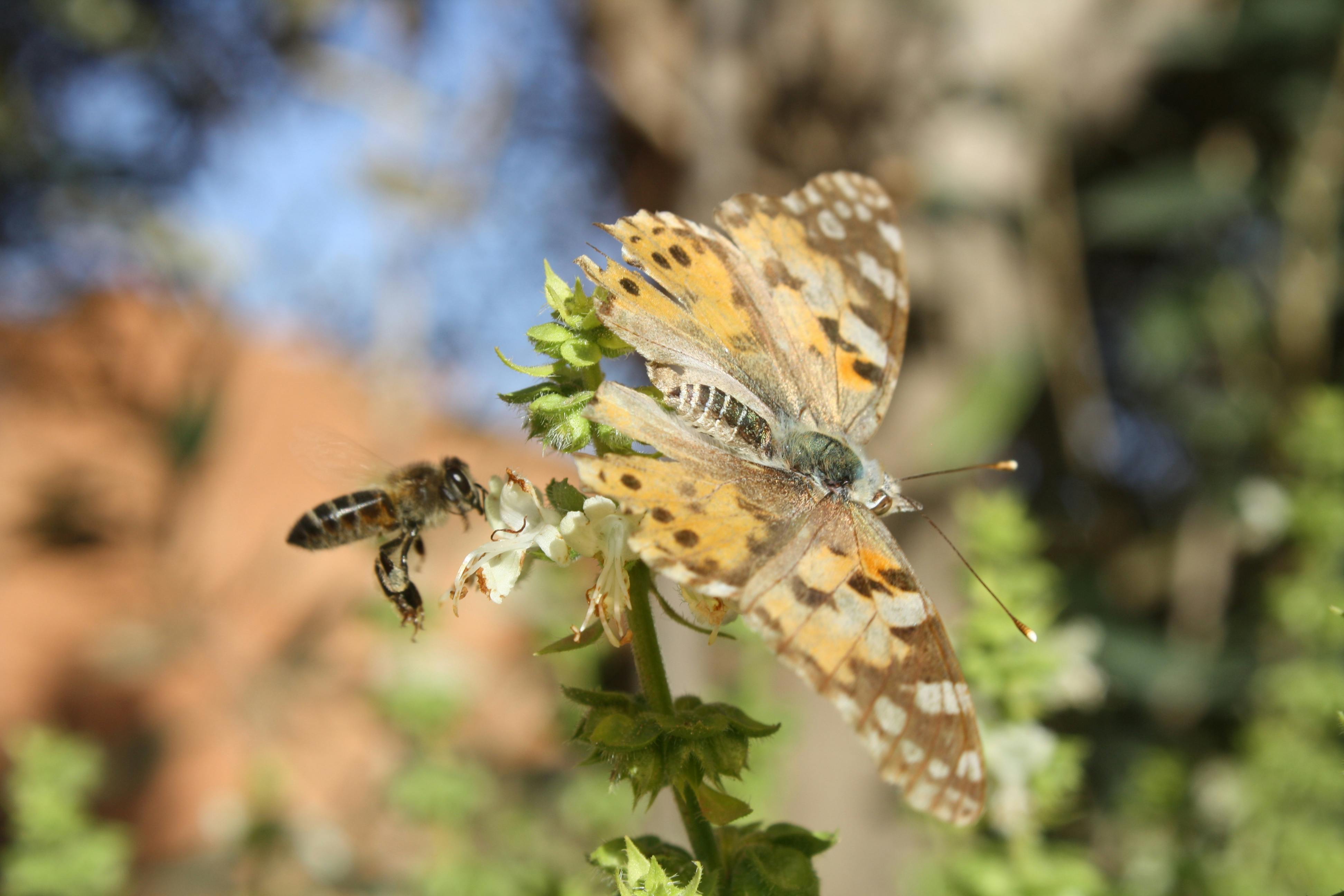 Warehouse operations