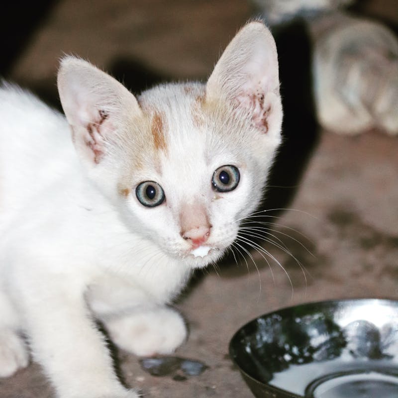 Distribución de equipos especializados