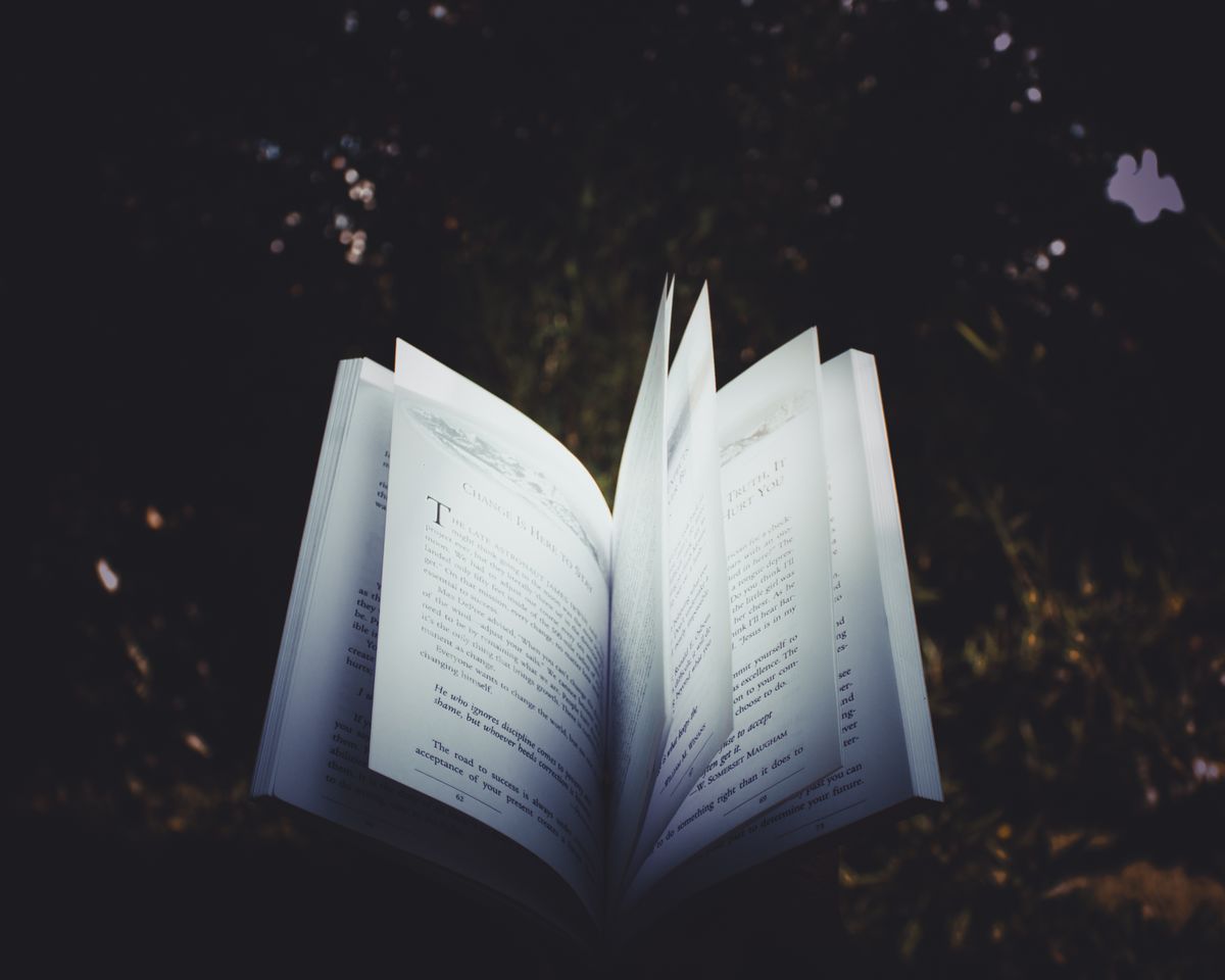 Open book with pages turning outdoors, symbolizing free resources to start rewiring money blocks