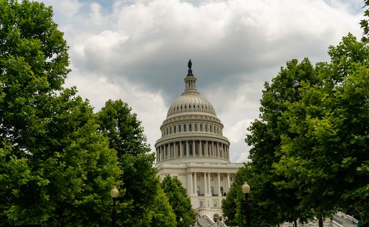  United States Capitol Dome Behind Trees