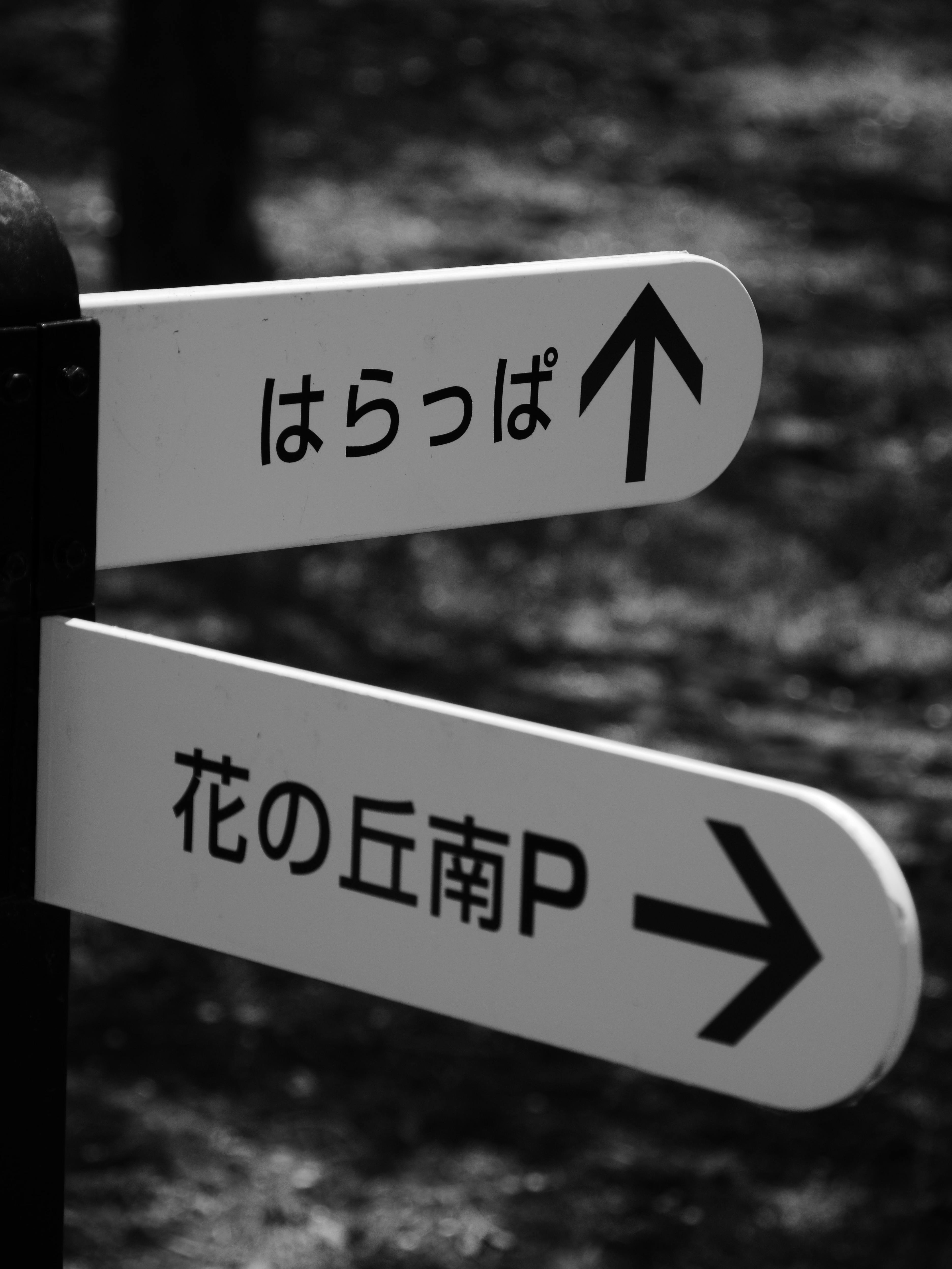 مسوقون يتنافسون على منتجات أفلييت في شبكة تجار كوم