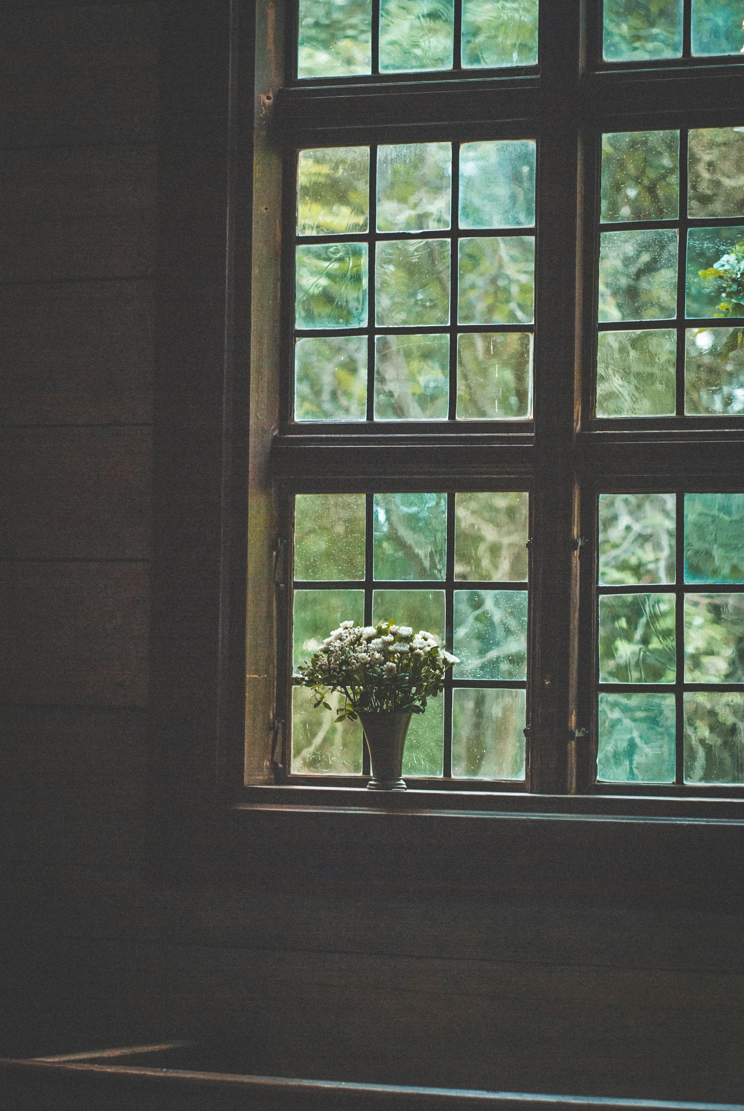 Flowers in Vase on Window Sill · Free Stock Photo