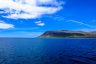 在日光下，沿海景观与明亮的蓝天和海洋展现出广阔视野