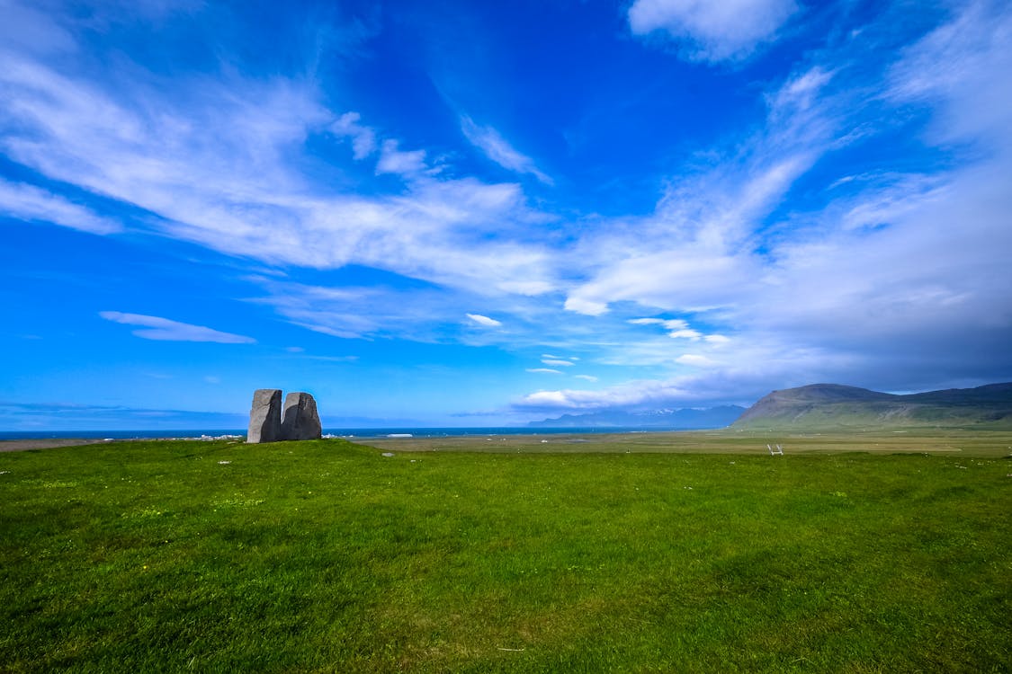 Campo De Grama Verde Sob O Céu Azul