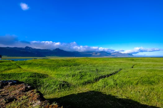 广阔的绿色草地上，群山与蓝天相映，构成夏日里大自然的完美画卷