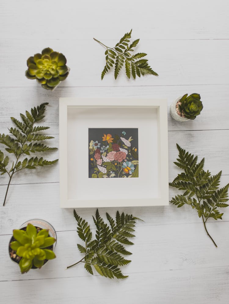 Framed Picture On White Table Decorated With Green Succulents