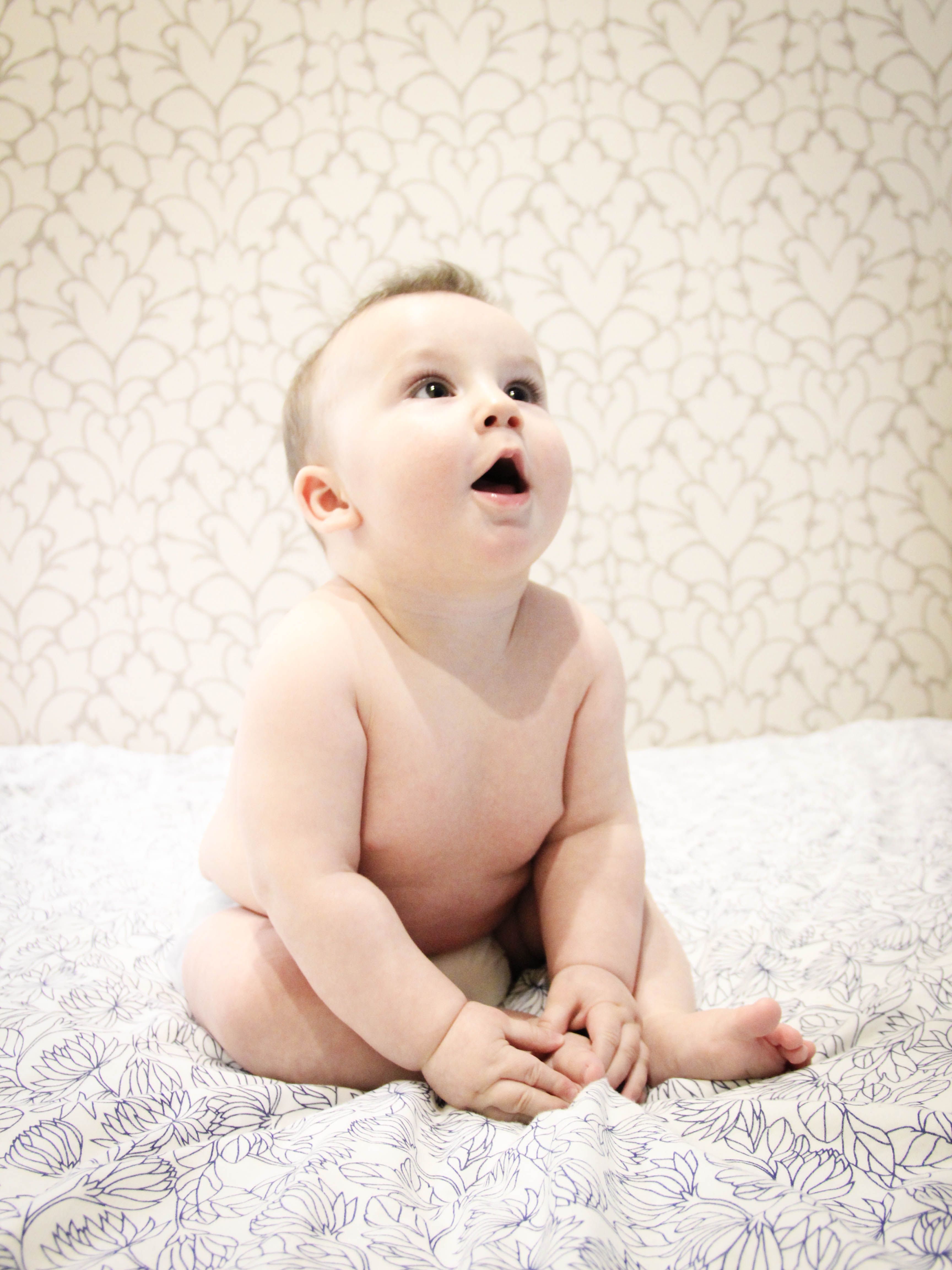 best overnight diapers for babies