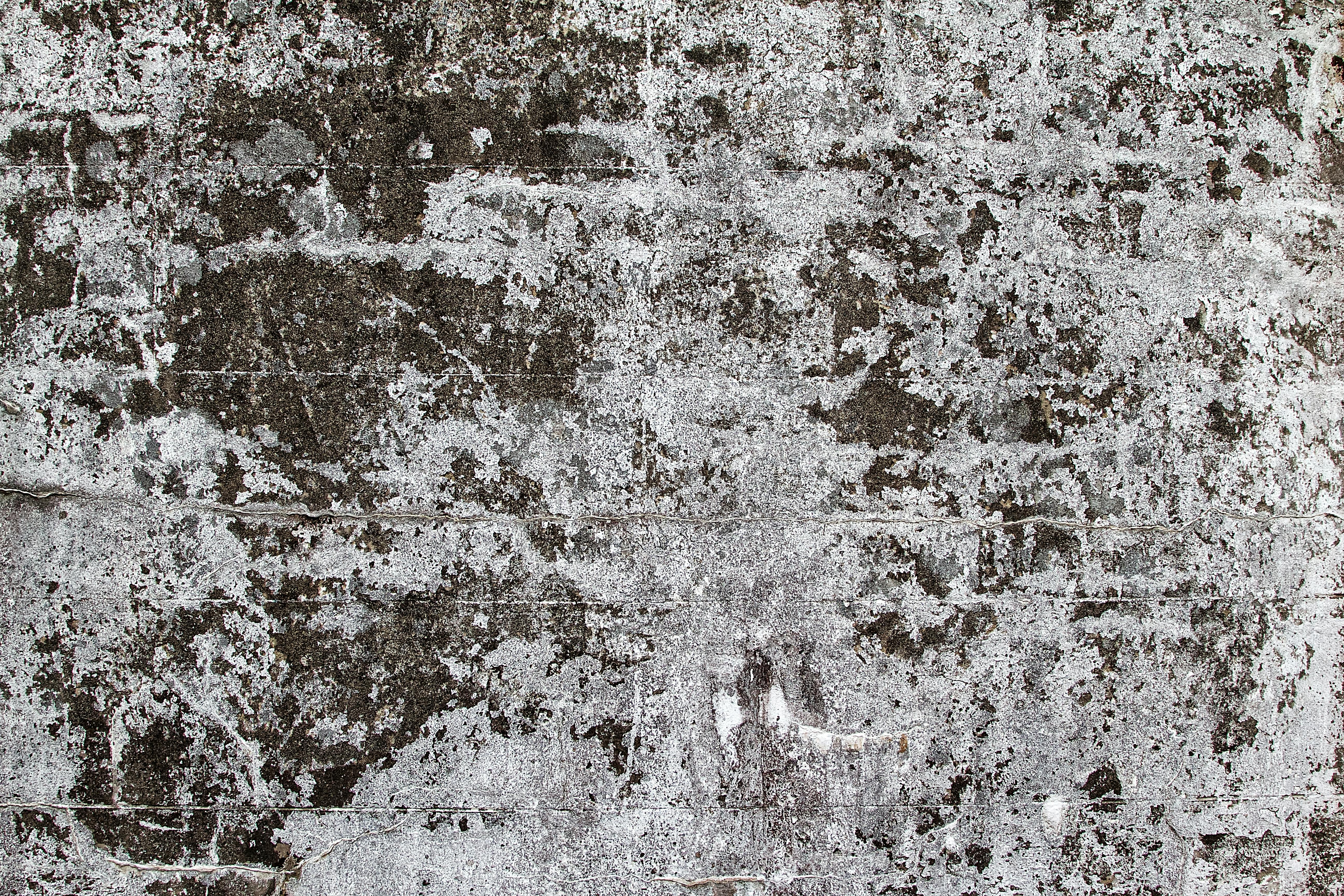 Avenge Word On Concrette Wall Stock Photo, Picture and Royalty Free Image.  Image 51578394.