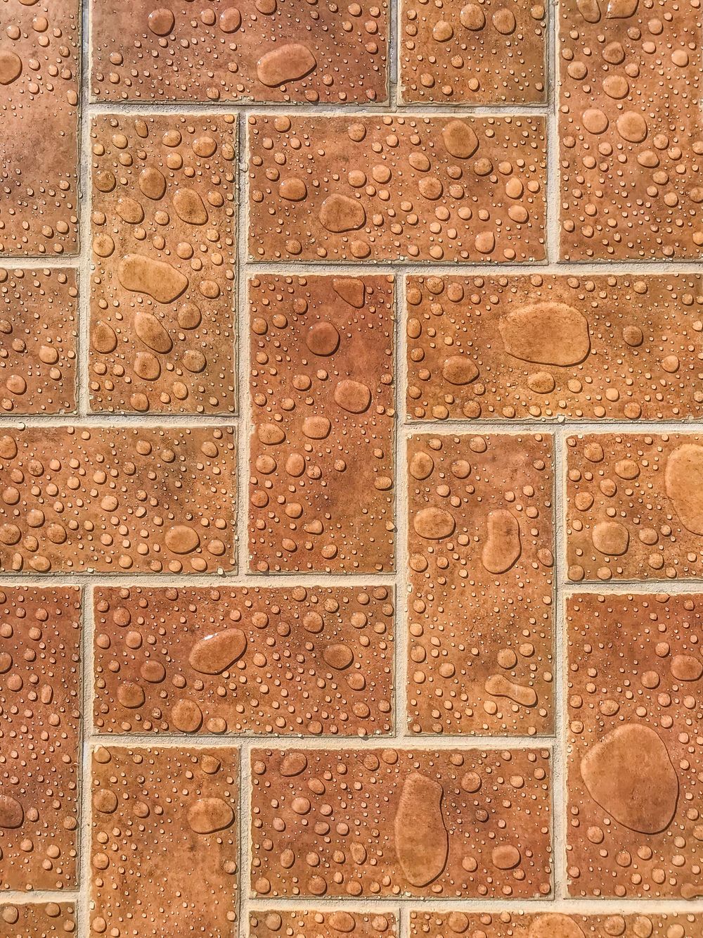 Paver Sealing