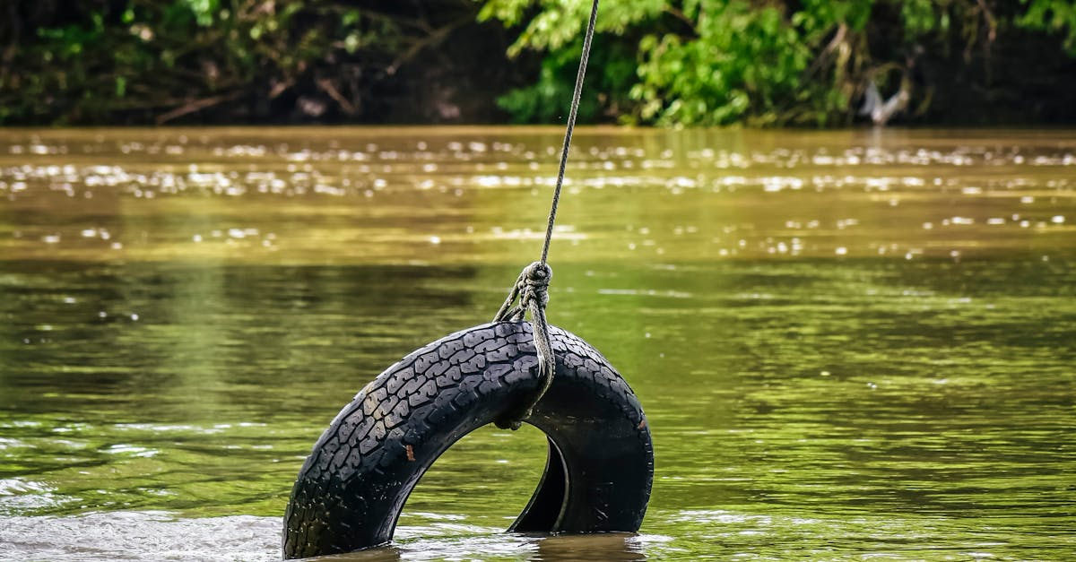 Tire rope swing over lake in park · Free Stock Photo