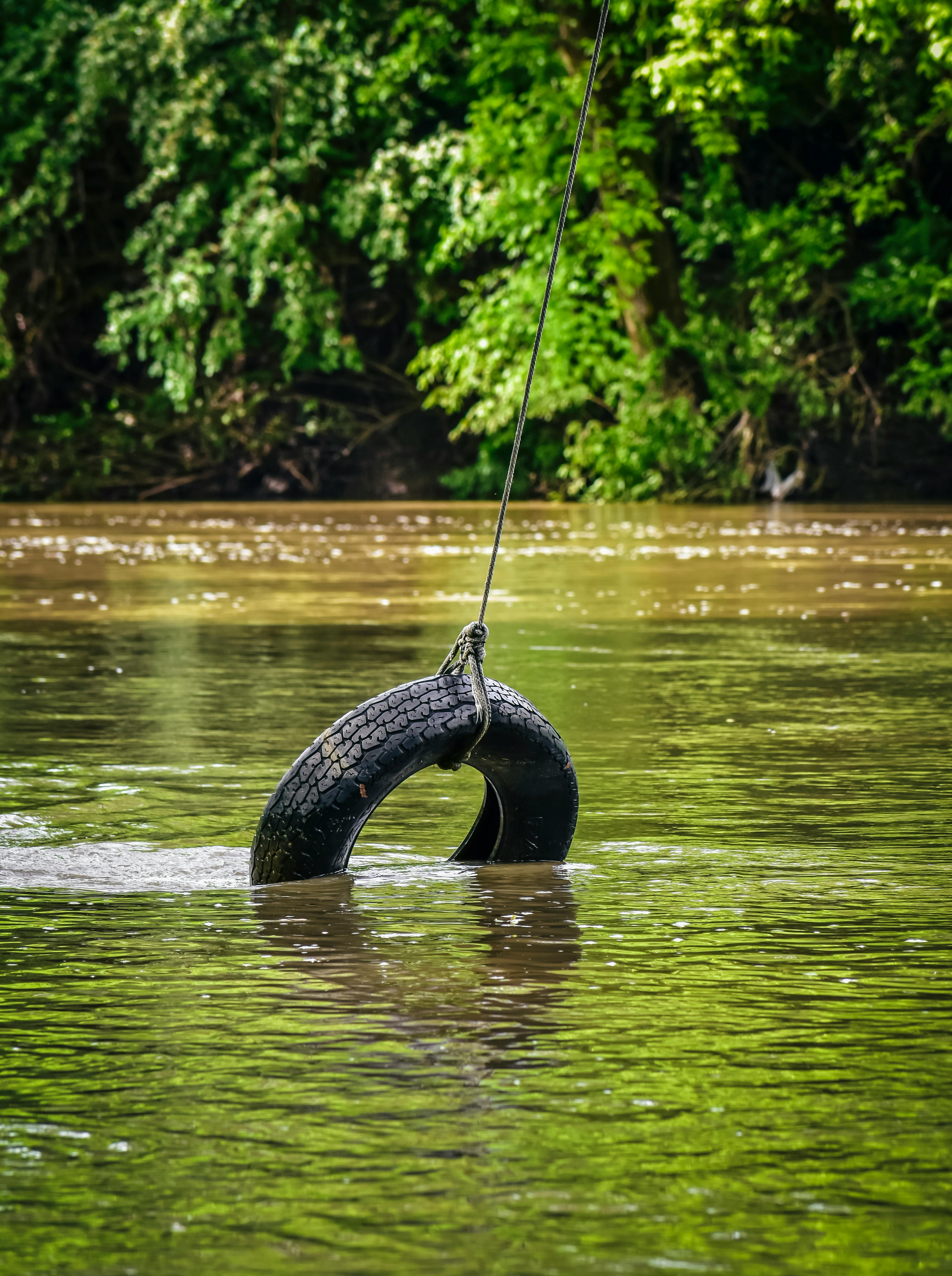 Tire rope swing over lake in park · Free Stock Photo