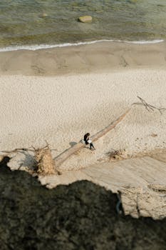 一个孤独的女人坐在海滩边的木头上，在明亮的夏日天空下，拥抱着孤独